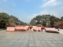 -南山植物园