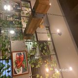 很有特色的鸽子饭