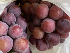 -马陆小张葡萄园农家乐