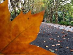 -贵阳市花溪国家城市湿地公园