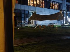 -荣誉海鲜酒楼(海湾店)