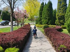 -棒棰岛宾馆景区