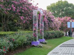 -杭州城北体育公园