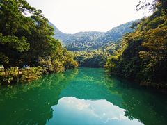 -鼎湖山风景区