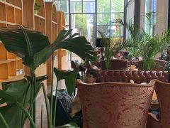-桉树林A coffee 森林餐厅(三圣乡店)