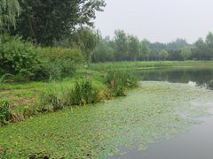 -东郊湿地公园