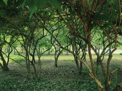 -长春公园(普阳街道)