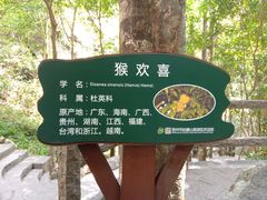 -姑婆山旅游区