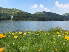 -石燕湖生态旅游景区