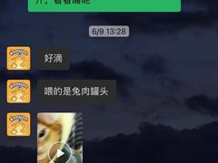 -屋虎猫馆(宝安大仟里店)