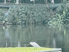 -重庆彩云湖湿地公园