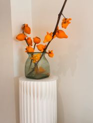 -安那般那皮肤年轻化ANAPANA