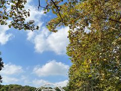 -上海共青森林公园