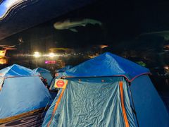 -横琴湾水世界