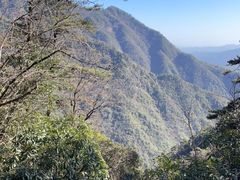 -东天目山风景区