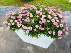 -南越王博物院(王宫展区)
