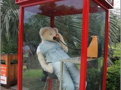 -济州岛泰迪熊博物馆