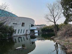 -新江湾城公园