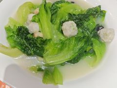 -港升鱼师傅·中山脆肉鲩