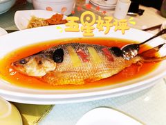 清蒸鲥鱼-金时代顺风大酒店(瑞虹路店)