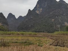 -明仕田园