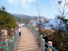 -广东惠东海龟国家级自然保护区