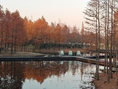 -长广溪湿地公园