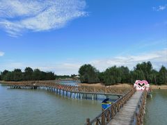 -泗洪洪泽湖湿地景区