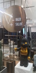 点击看大图 -V+SALON造型