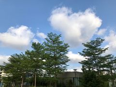 -南方医科大学深圳医院