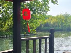 -溱湖国家湿地公园