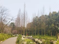 -重庆彩云湖湿地公园