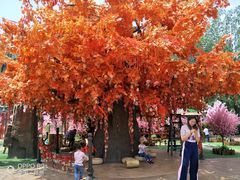 -郑州方特梦幻王国