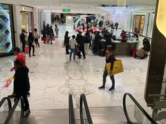 -Roger Vivier(北京SKP店)