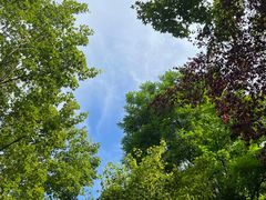 -唐城墙遗址公园