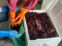 -王四营海鲜市场
