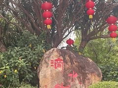 -滴水岩森林公园