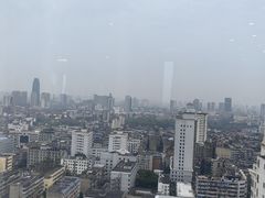 -东方豪景花园酒店·怡景旋转餐厅