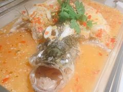 -佬肥猫(国华广场店)
