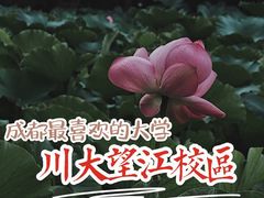 -四川大学(望江校区)