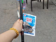 -尚庄度假村·庭台树下·户外烧烤·团建CS·轰趴营地(上庄水库店)