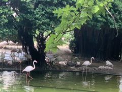 -九龙公园