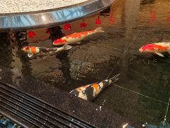 -唐山河头老街国丰维景国际大酒店