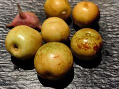 -吴越荣记苏州菜·松鼠桂鱼100%活鱼现做(月光码头店)