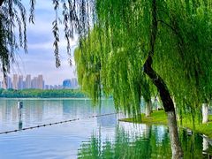 -天鹅湖体育公园