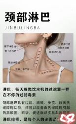 点击看大图 -玛莲朵·海菲秀冰珀科