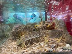 -大树下海鲜饭店
