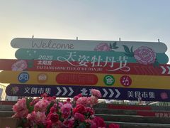 -太阳宫公园