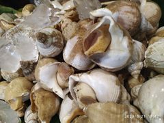 -红林大酒店RFcafe自助餐厅