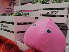 -gaga(深圳福田星河COCO Park店)